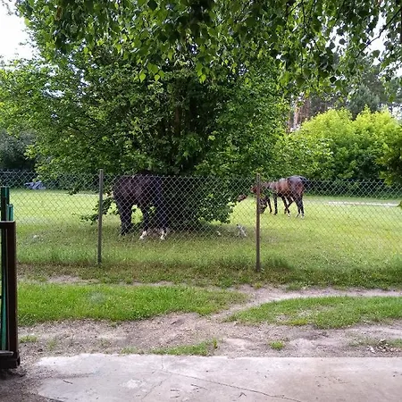 Domek Nad Zalewem Holiday home